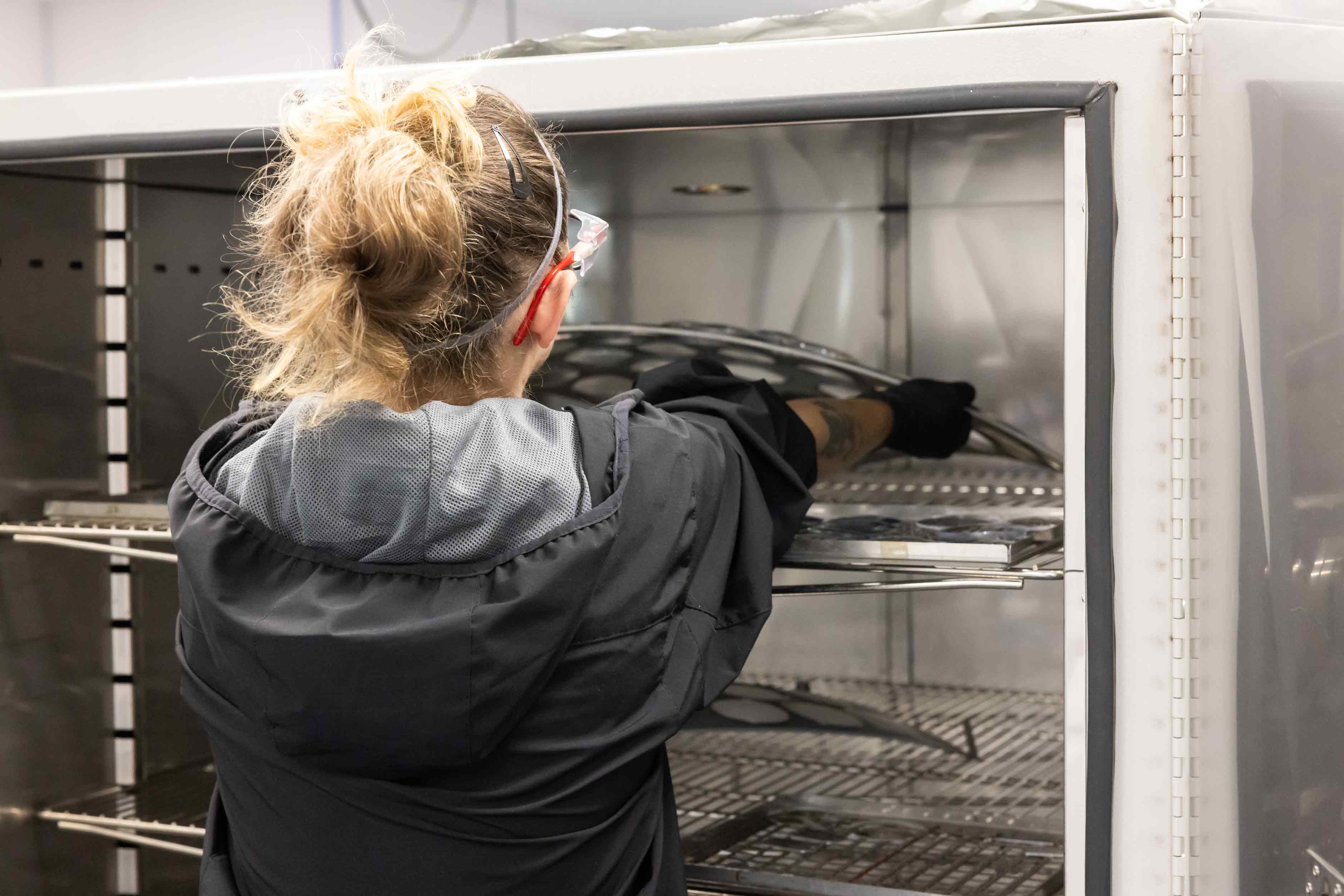 Person working with metal shelves inside eyeglass lenses get ready to be coated.