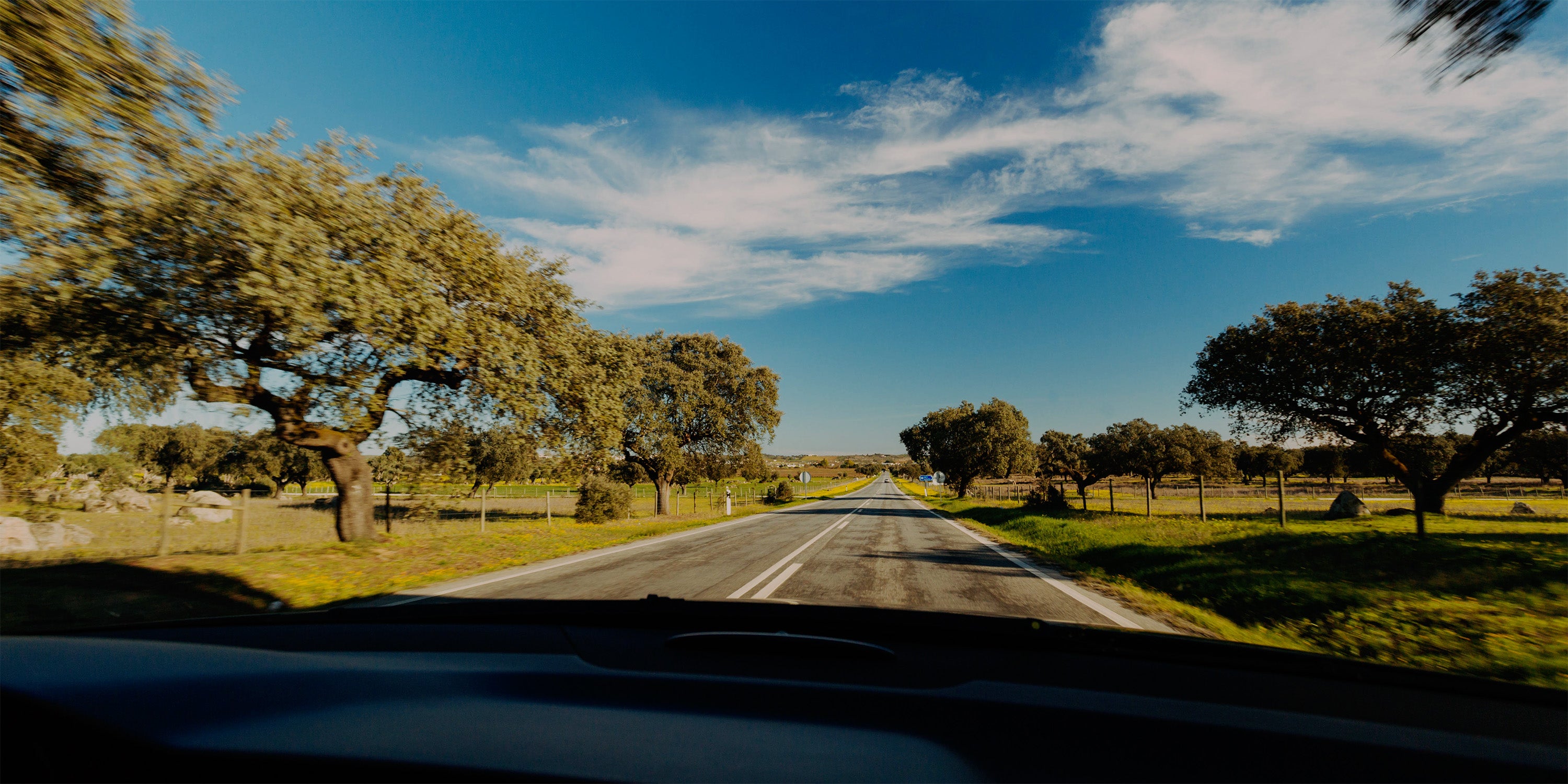 Road with trees on both sides under a blue sky