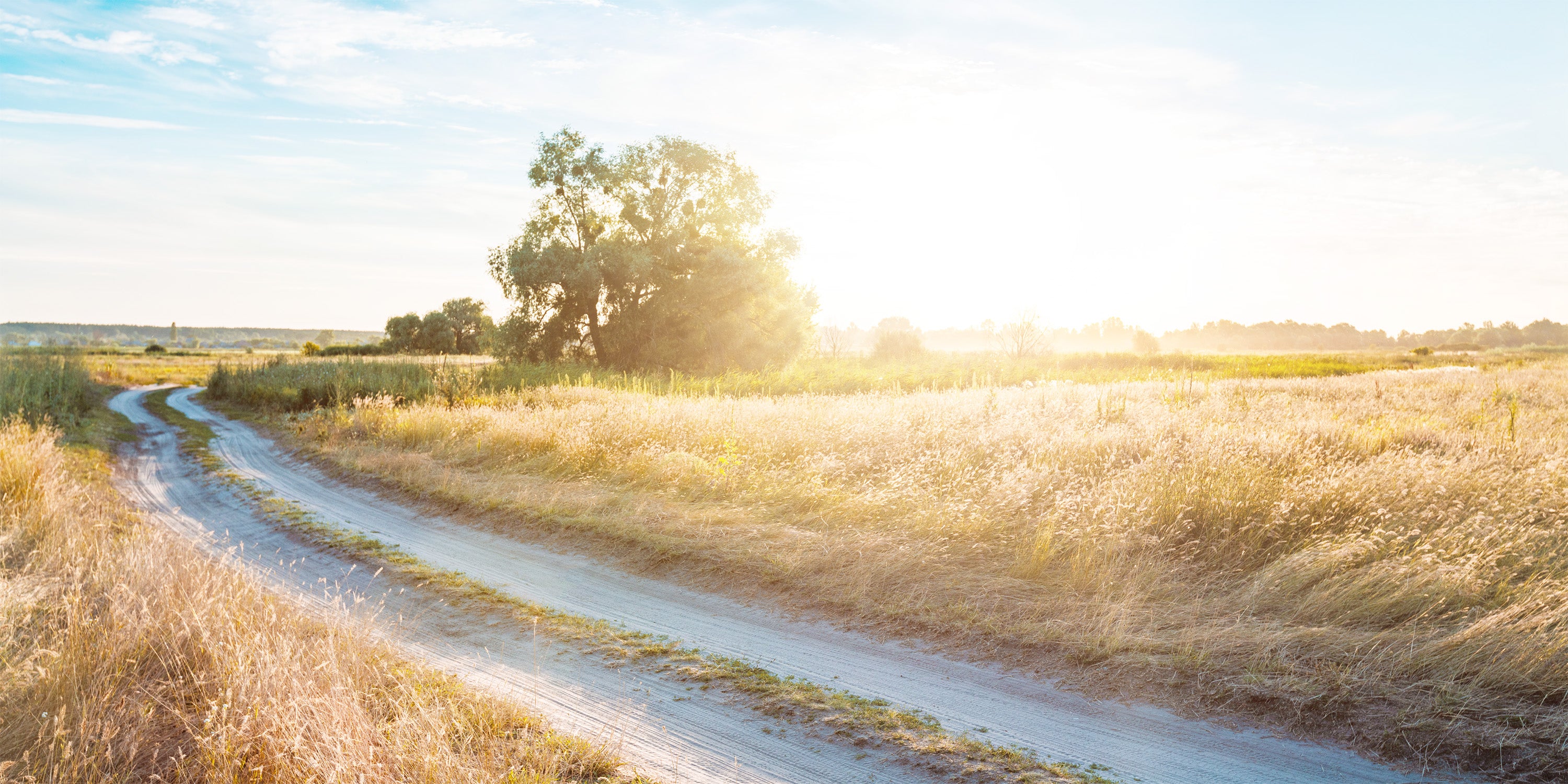 Winding dirt road through a field with trees and a bright sky.